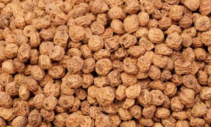 Tamizado de Horchata