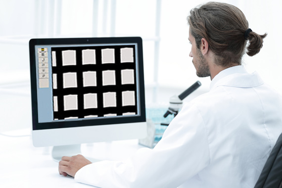 Laboratorio